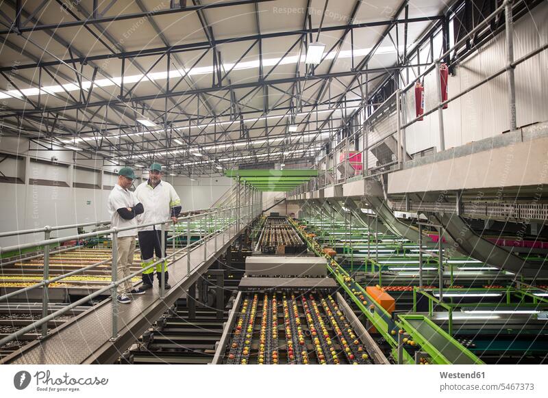 Workers talking in apple factory, sorting machine food processing plant merchandise merchandises goods communication sorting machines Apple Apples worker
