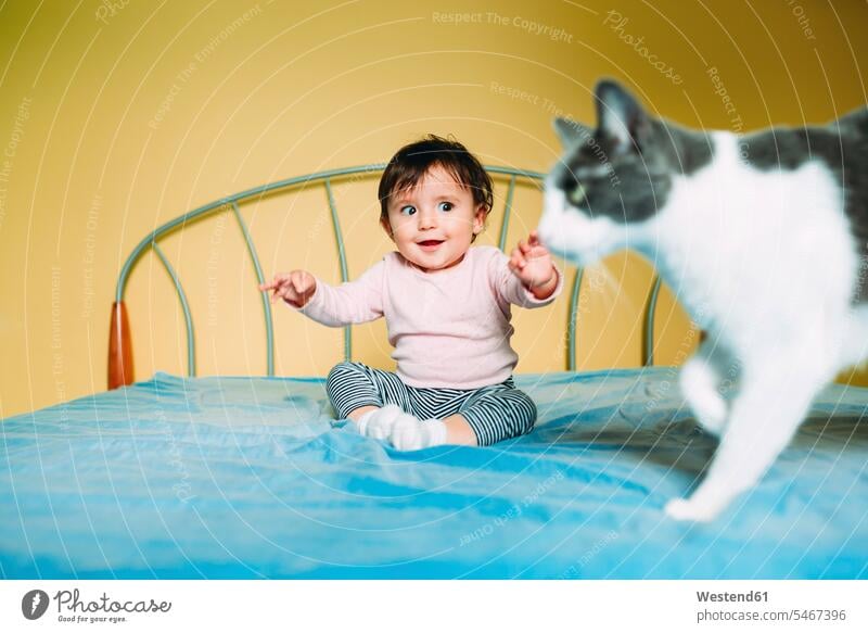 Surprised baby girl with cat on the bed amazed surprised surprising beds cats infants nurselings babies baby girls female astonished puzzled wonder wondering