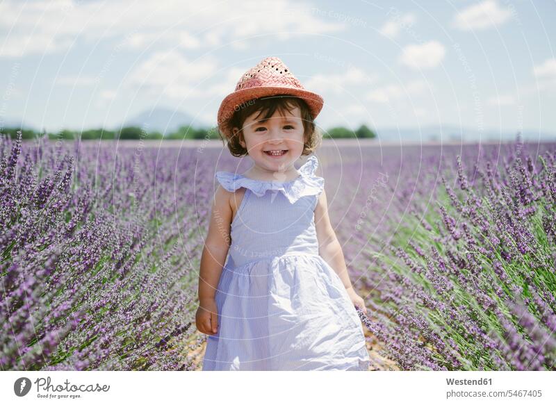France, Provence, Valensole plateau, Happy toddler girl in purple lavender fields in the summer summer time summery summertime Lavender Lavandula Lavenders