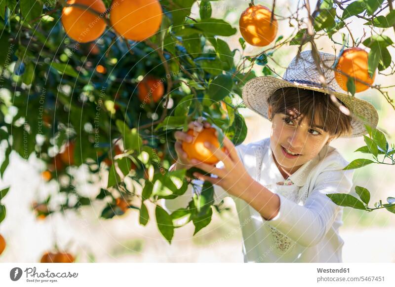Little girl helping mother with the orange harvest touristic tourists Agricultural Activity Agricultural Occupation farm labor farm labour farm work pick