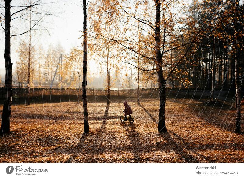 Little girl riding bicycle in autumnal park Plants Leaves autumn leaves location shot location shots outdoor outdoor shot outdoor shots natural world human