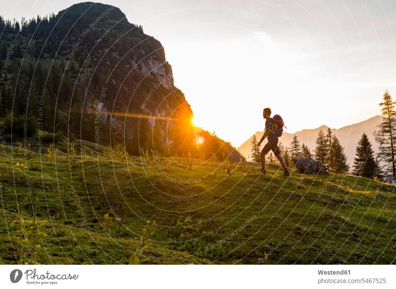 Austria, Tyrol, Hiker with backpack hiking in meadow at sunset meadows sunsets sundown hike hiker wanderers hikers rucksacks backpacks back-packs atmosphere
