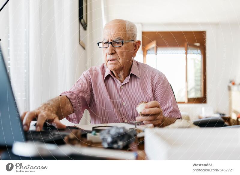 Retired elderly man using laptop while doing research on fossils and minerals at home color image colour image indoors indoor shot indoor shots interior