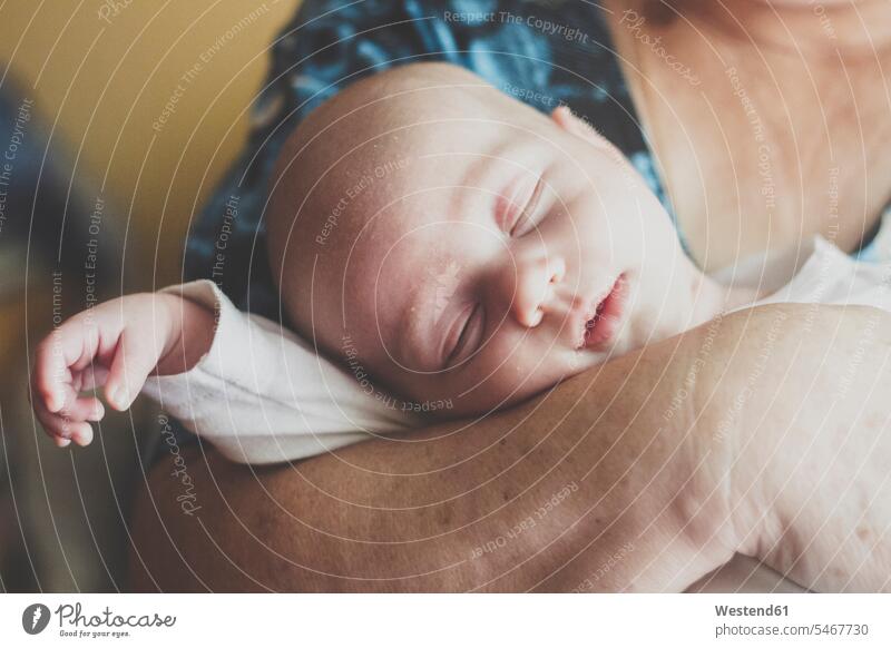 Portrait of baby boy sleeping in grandmother's rams generation hold asleep relax relaxing relaxation Secure Emotions Feeling Feelings Sentiment Sentiments