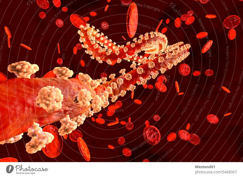 3D rendered Illustration of a Ebola virus in the blood stream surrounded by erythrocyte cells colour colours health healthcare Healthcare And Medicines medical