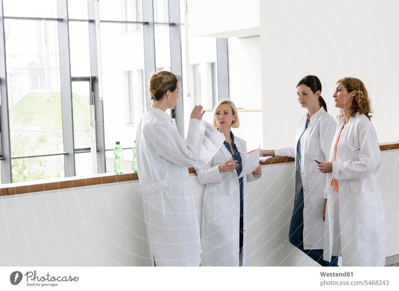 Female doctors having a work meeting in hospital human human being human beings humans person persons caucasian appearance caucasian ethnicity european adult