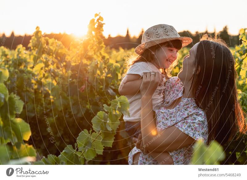 Mother and little daughter in a vineyard at sunset in Provence, France vineyards wine estates wine farm winery wine-growing districts Cutie twee Guiltless