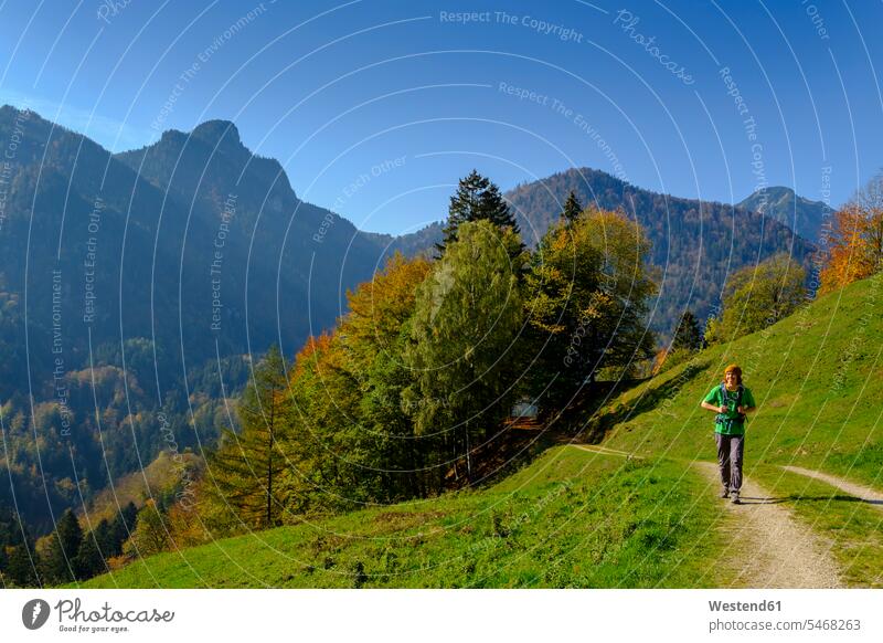 Germany, Bavaria, Upper Bavaria, Chiemgau, near Schleching, Achen Valley, hiker on hiking trail hiking path hiking trails wanderers hikers autumnal autumnally