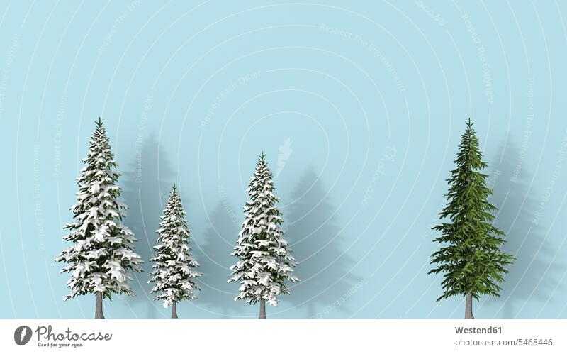 3D rendering, Row of snow covered fir trees blue on background, with a green one , standing aout winter hibernal Tree Trees copy space Repetition repeating