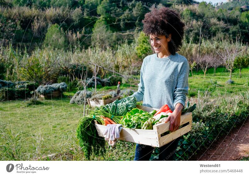 Woman carrying fresh vegetables from her garden gardens domestic garden Vegetable Vegetables mid adult women mid adult woman mid-adult women mid-adult woman