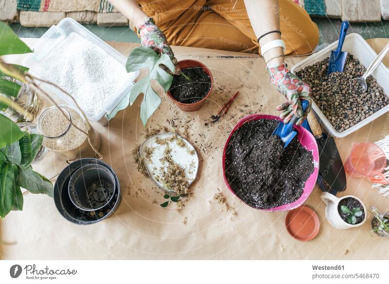Top view of woman working with soil on table Occupation Work job jobs profession professional occupation flower pot flower pots flowerpots Tables At Work