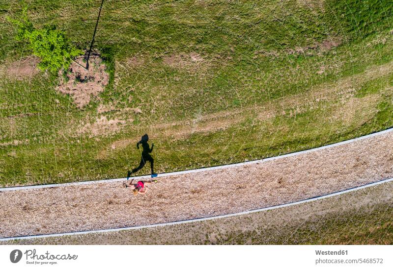 Aerial view of female jogger on woodchip trail Jogging endurance joggers exercise exercises practising exercising active woodchip trails running fitness sport