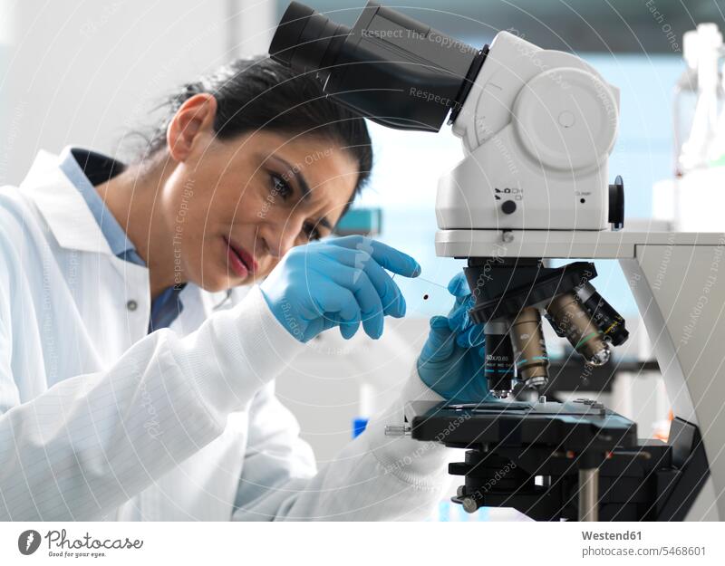 Lab technician examing a glass slide containing a blood sample ready to be magnified under the microscope in the laboratory Occupation Work job jobs profession