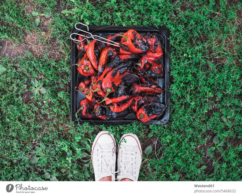 Grilled red bell peppers on a baking tray caucasian caucasian ethnicity caucasian appearance european Red Bell Pepper red pepper Red Bell Peppers day