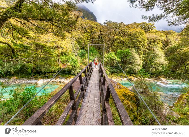Female hiker walking across swing bridge over river, Fiordland National Park, South Island, New Zealand human human being human beings humans person persons