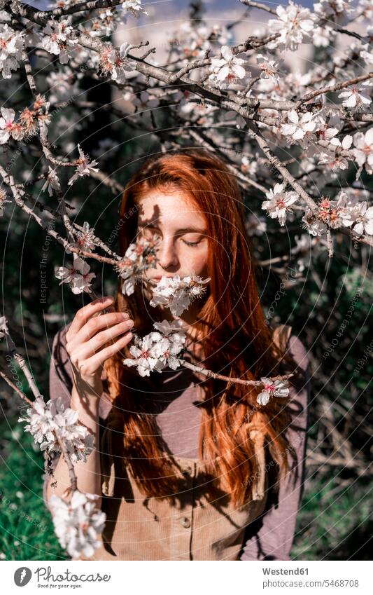 Redheaded woman smelling tree blossoms flowers Blossoms Blooms blossoming flowering females women redheaded red hair red hairs red-haired Plant Plants Adults
