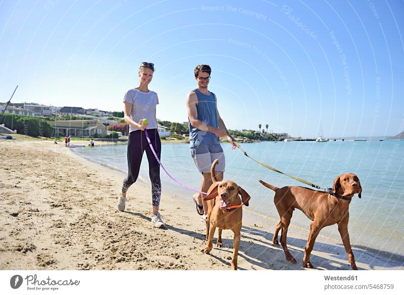Young couple walking on the beach with dog dogs Canine going twosomes partnership couples beaches pets animal creatures animals people persons human being