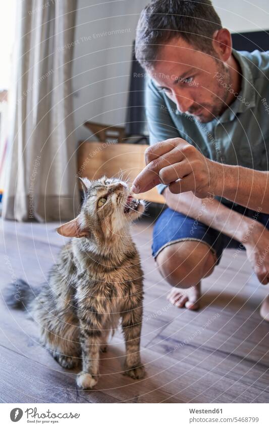 Handsome man crouching while feeding cat at home color image colour image Spain indoors indoor shot indoor shots interior interior view Interiors Home Interior