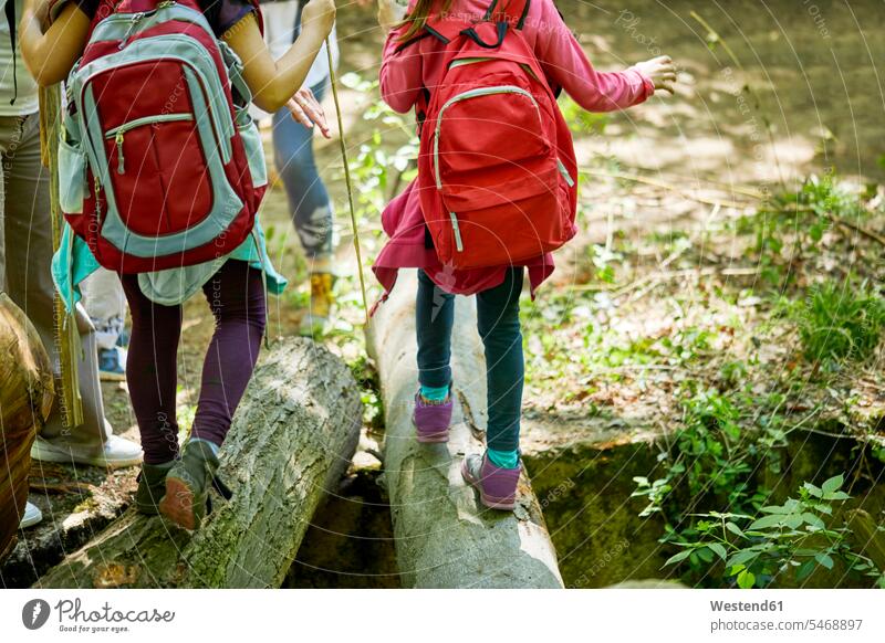 Girls with backpacks balancing on logs in forest rucksacks back-packs girl females girls woods forests balance child children kid kids people persons