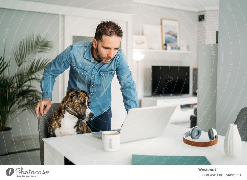Man standing by dog while using laptop from home during coronavirus pandemic outbreak, Almeria, Spain, Europe color image colour image indoors indoor shot