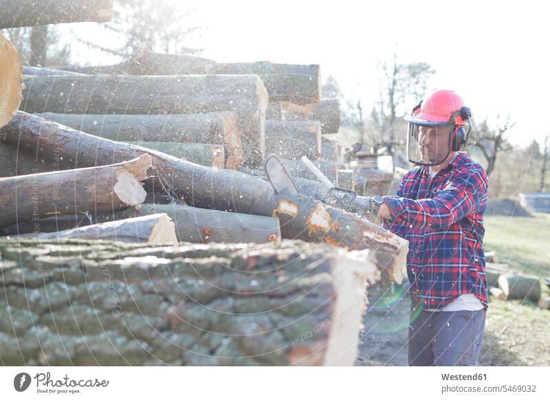 Lumberjack cutting log with chainsaw during sunny day color image colour image outdoors location shots outdoor shot outdoor shots daylight shot daylight shots
