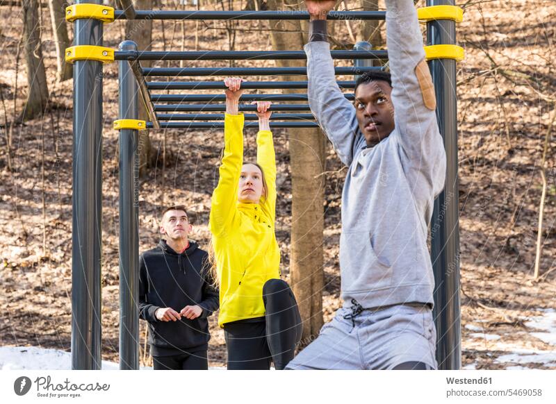 Friends exercising at monkey bars in a park exercise training practising Monkey Bar fitness friends mate exercises parks sport sports friendship Strength strong