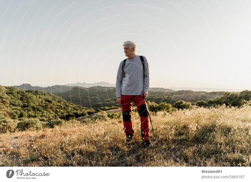 Senior male hiker looking away while standing with hiking pole on plants against clear sky color image colour image Spain outdoors location shots outdoor shot