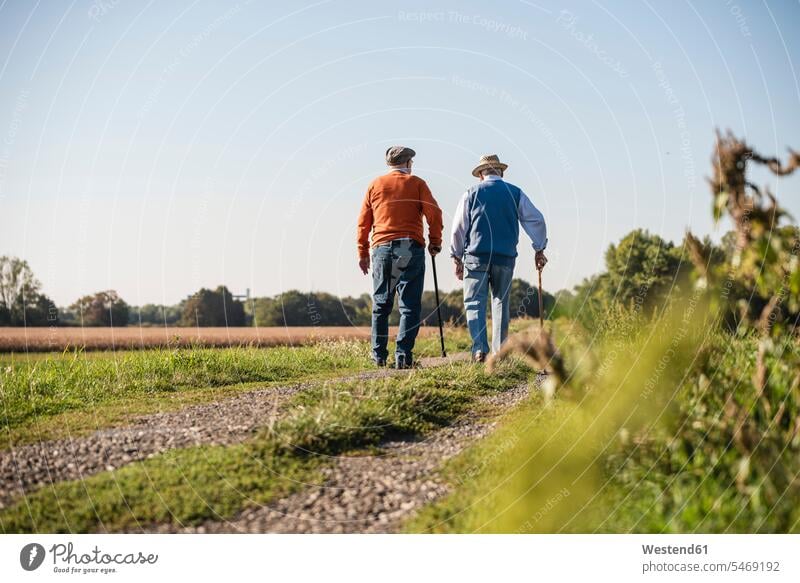 Two old friends taking a stroll through the fields, talking about old times walking going Best Friend Best Friends Best Pal Stroll Field Fields farmland mate