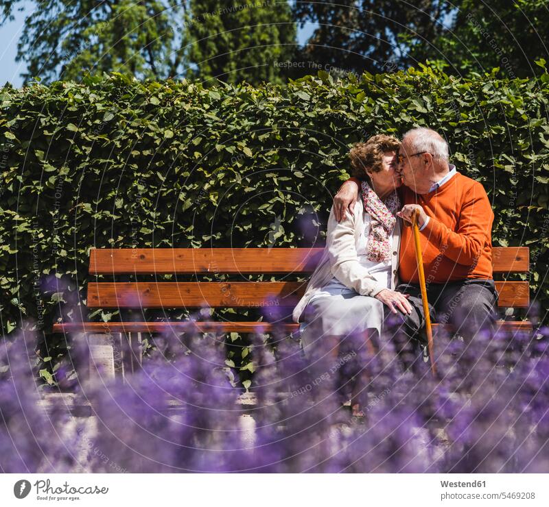 Senior couple sitting on bench in a park, kissing parks arm around arms around Falling In Love summer summer time summery summertime Seated kisses senior couple