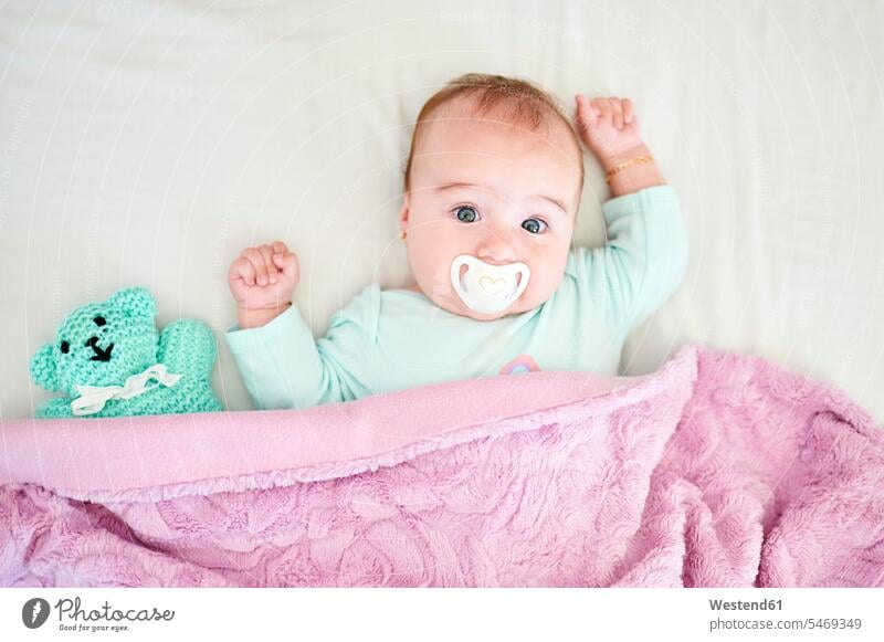 Portrait of baby girl with pacifier and cuddly toy lying on bed Blankets Bed - Furniture beds comforter Pacifiers soother relax relaxing gaze gazing glare