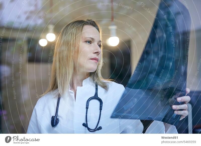 Female doctor looking at x-ray image behind windowpane Female Doctor physicians Female Doctors woman females women x-rays radiography radiographies eyeing