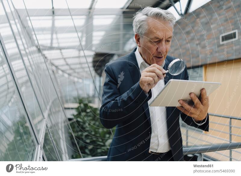 Senior businessman with magnifying glass reading tablet in office human human being human beings humans person persons caucasian appearance caucasian ethnicity
