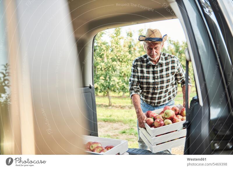 Fruit grower loading car with apple crates Occupation Work job jobs profession professional occupation shirts hats harvesting harvests Alimentation food