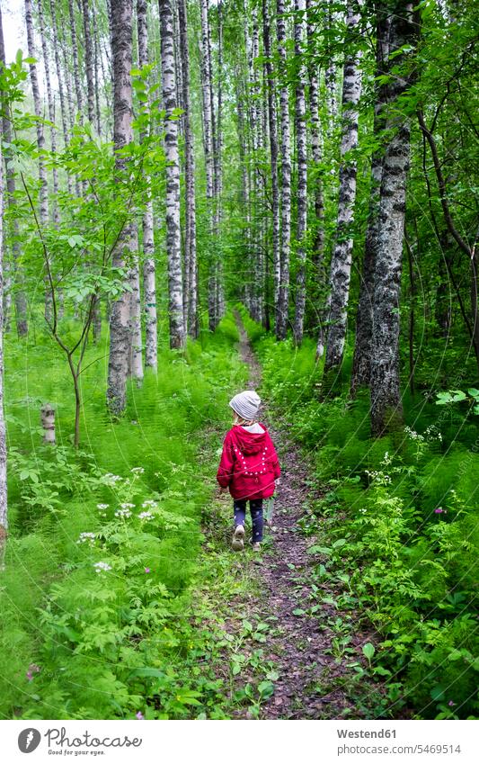 Finland, Kuopio, girl walking in a birch forest females girls going child children kid kids people persons human being humans human beings nature natural world