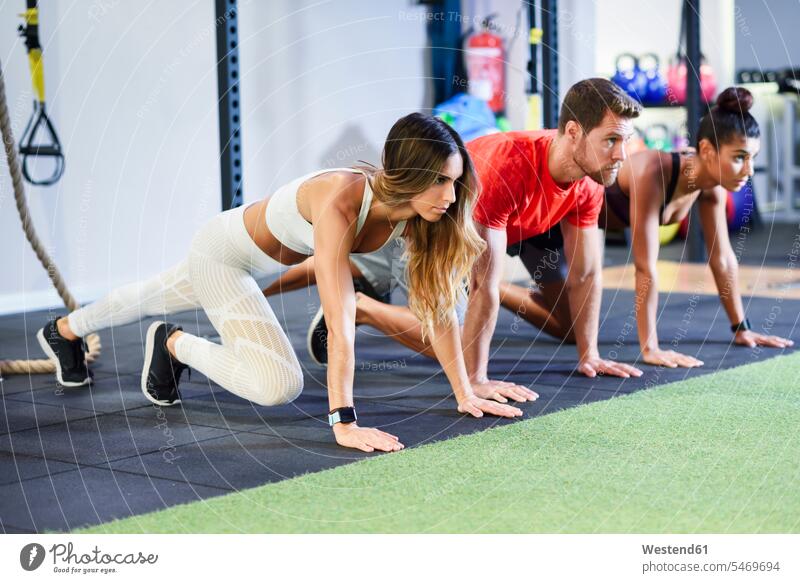 Young people exercising plank variations in a gym athlete sportswoman athletes female athlete sportswomen female athletes Sportspeople Sportsman Sportsperson