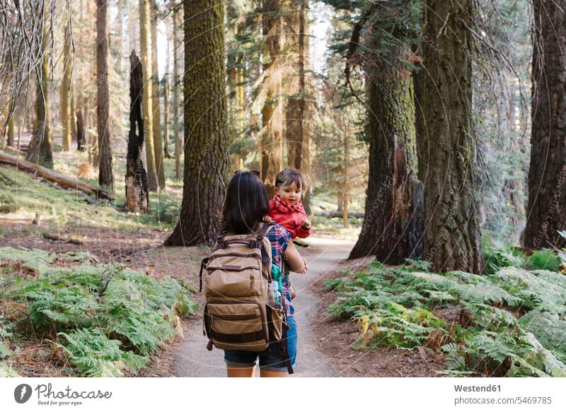 Mother holding a little girl in the forest in Sequoia National Park, California, USA human human being human beings humans person persons caucasian appearance
