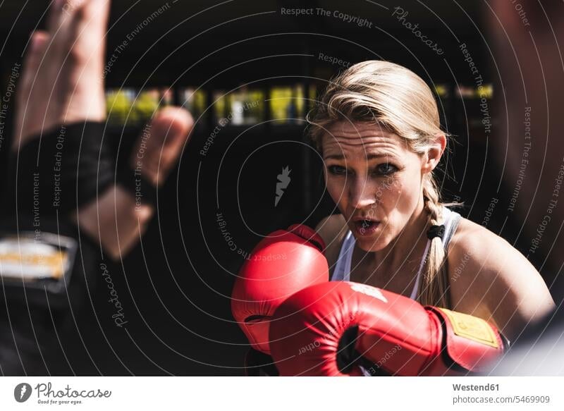 Man and woman in boxing training fit sportive sporting sporty athletic couple partnership couples athlete Sportspeople Sportsman Sportsperson athletes Sportsmen