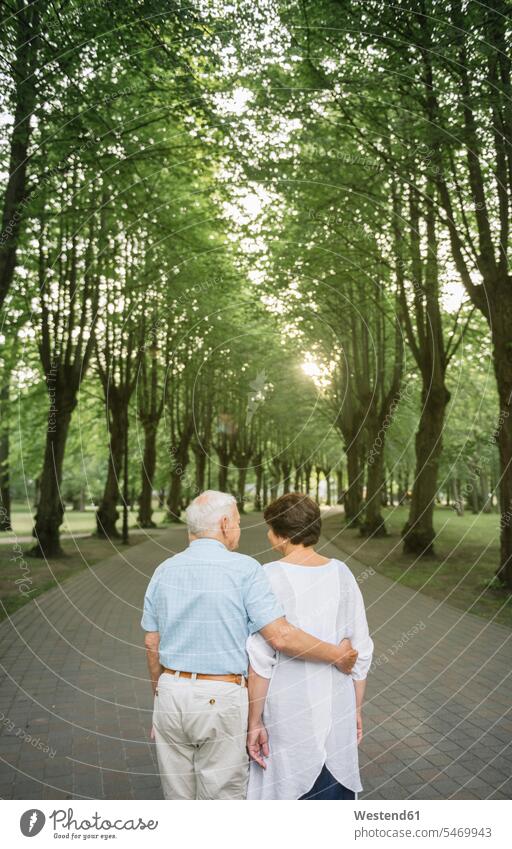 Back view of senior couple strolling in a park at sunset associate associates partner partners partnerships in the evening Emotions Feeling Feelings Sentiment