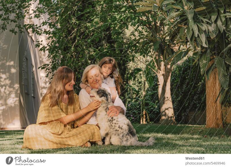 Multi-generation family playing with dog on grassy land against plants in yard color image colour image Spain leisure activity leisure activities free time