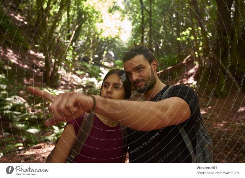 Spain, Canary Islands, La Palma, couple in a forest with man pointing his finger woods forests point at pointing at twosomes partnership couples hiking hike