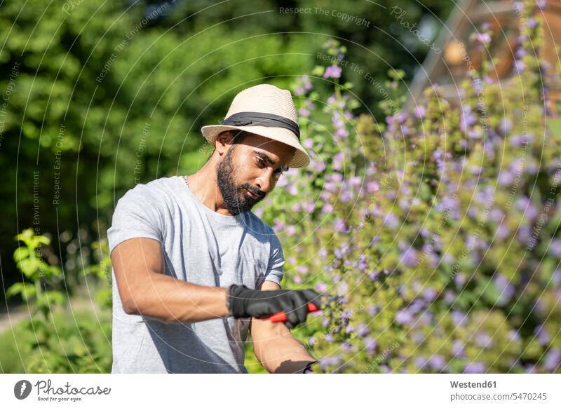 Portrait of bearded young man pruning shrub Occupation Work job jobs profession professional occupation gardeners T- Shirt t-shirts tee-shirt At Work