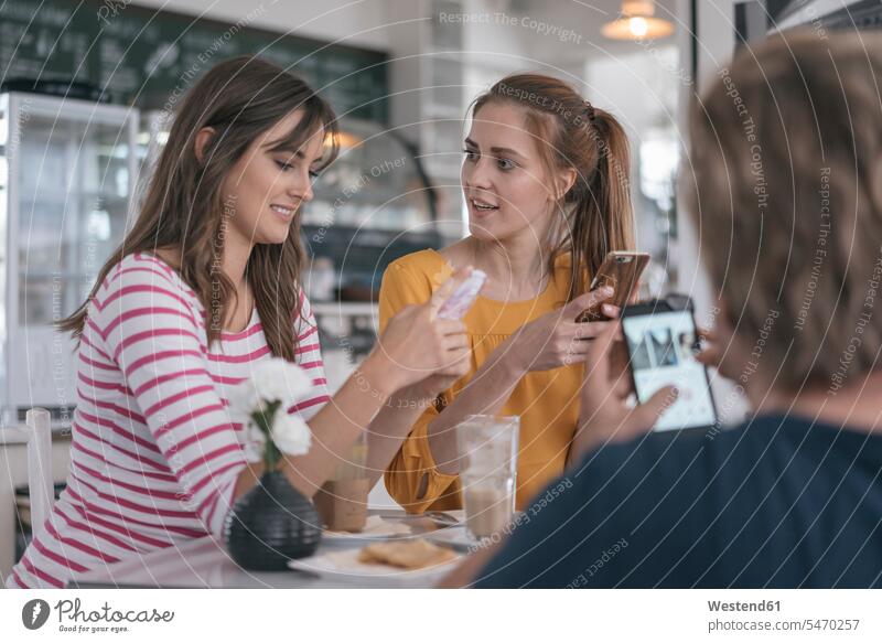 Two girlfriends meeting in a coffee shop, using smartphones female friends sitting Seated encounter gathering cafe mate friendship Follower best friend bff