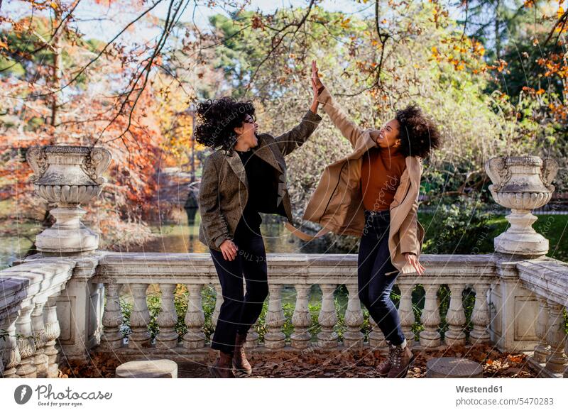 Carefree friends giving high-five while jumping at park color image colour image outdoors location shots outdoor shot outdoor shots day daylight shot