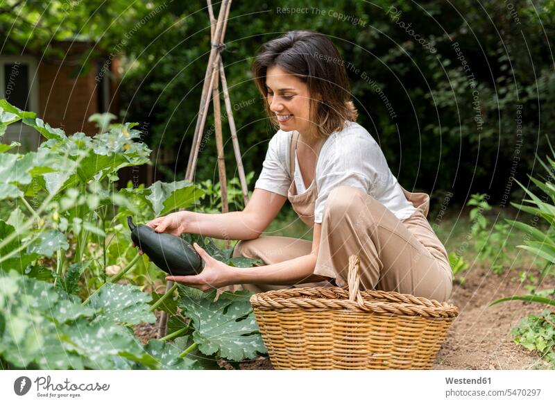 Smiling young woman picking eggplant from vegetable garden during curfew color image colour image Spain dungarees Bib Overalls Bibs Overall Bibs Overalls