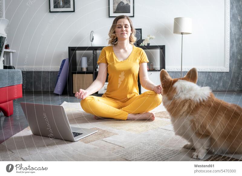 Woman with dog practising yoga in living room at home animals creature creatures domestic animal pet Canine dogs T- Shirt t-shirts tee-shirt computers