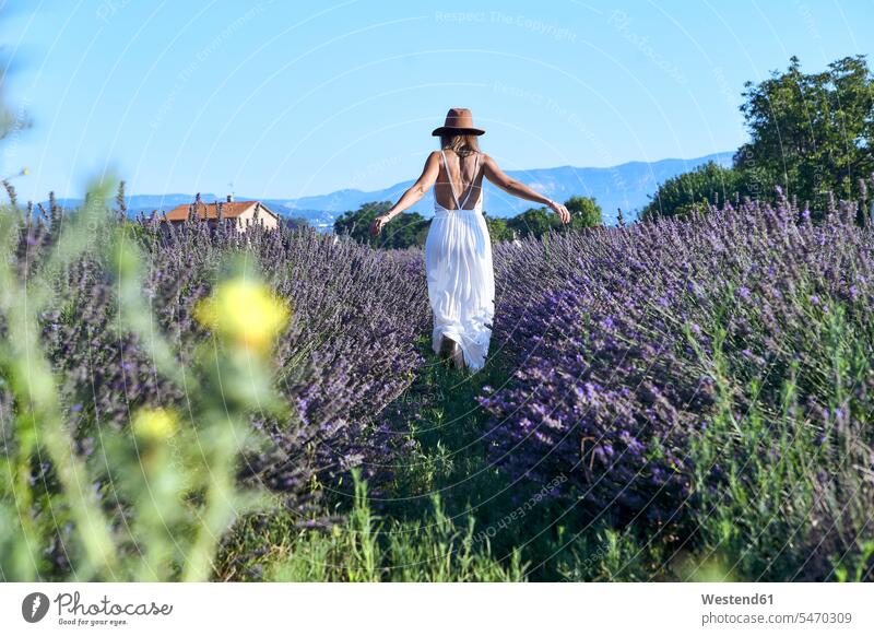 Woman wearing white dress and hat walking amidst lavender field against clear sky color image colour image Spain leisure activity leisure activities free time