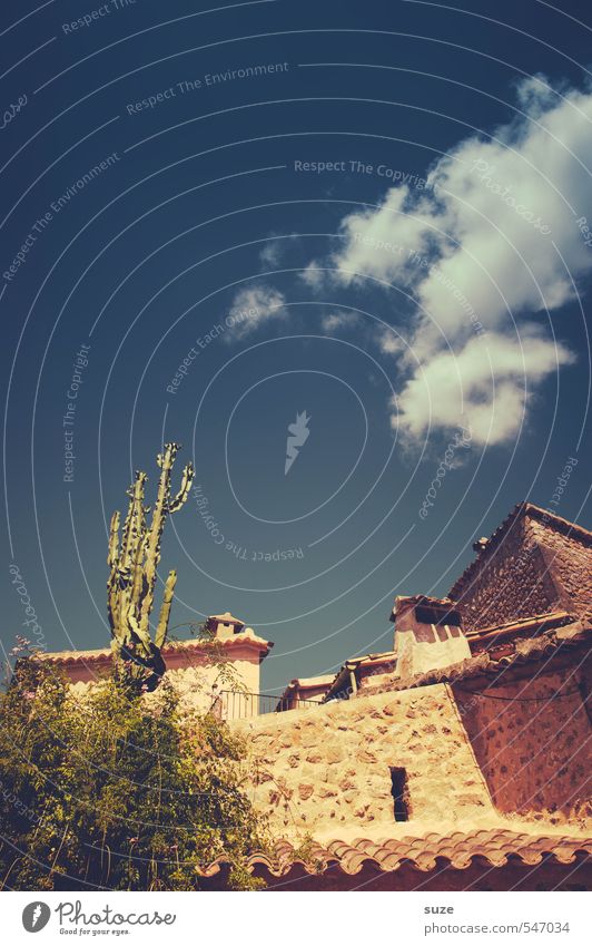 local Vacation & Travel Summer Living or residing House (Residential Structure) Environment Nature Sky Warmth Cactus Village Architecture Wall (barrier)