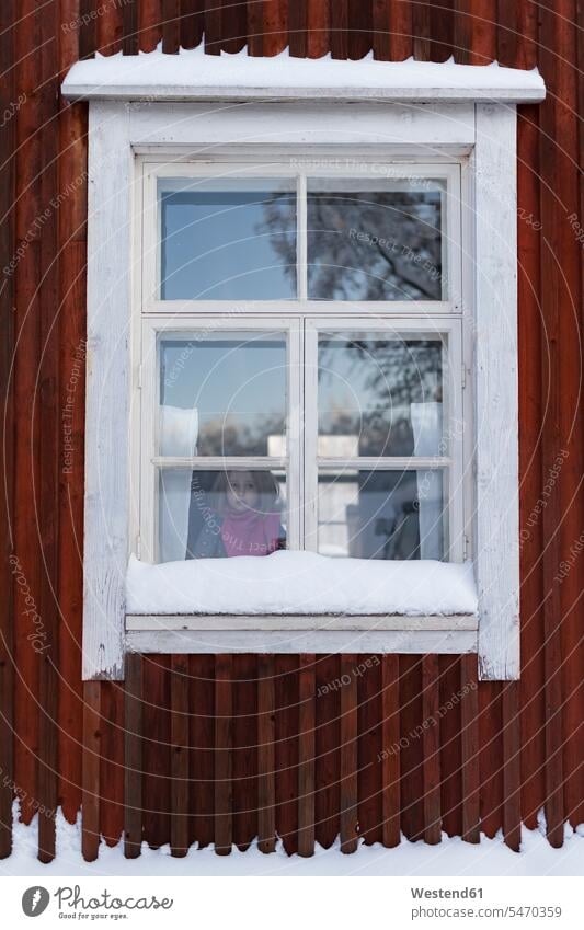 Finland, Kuopio, little girl looking out of window of farmhouse in winter view seeing viewing females girls windows hibernal child children kid kids people