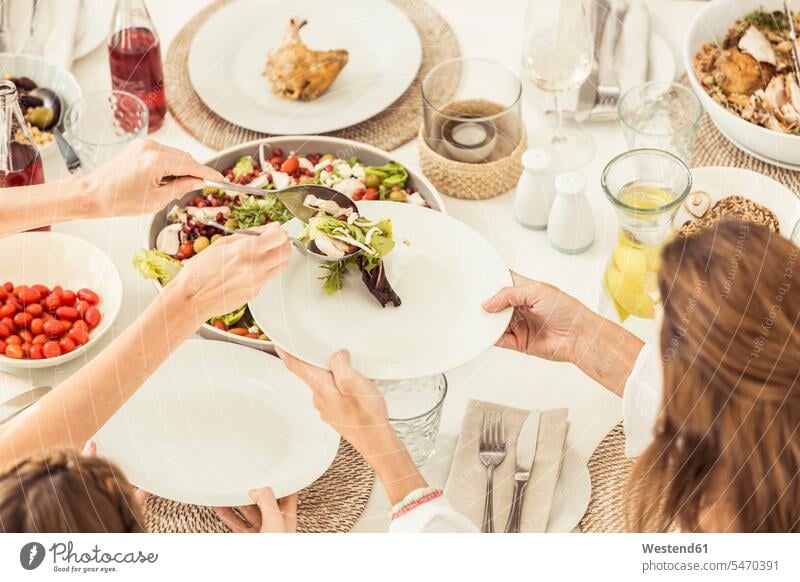 Close-up of family and friends having lunch together serving salad mate dish dishes Plates Tables Dining Tables Dinner Table place cover place covers