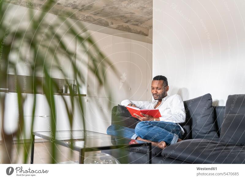Portrait of man sitting on couch in modern apartment reading a book books couches settee settees sofa sofas relax relaxing Seated relaxation delight enjoyment
